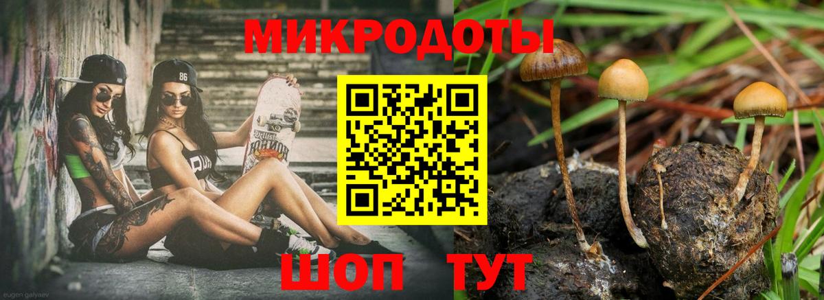 Воткинск  Галлюциногенные грибы Psilocybine cubensis  Вход с VPN 