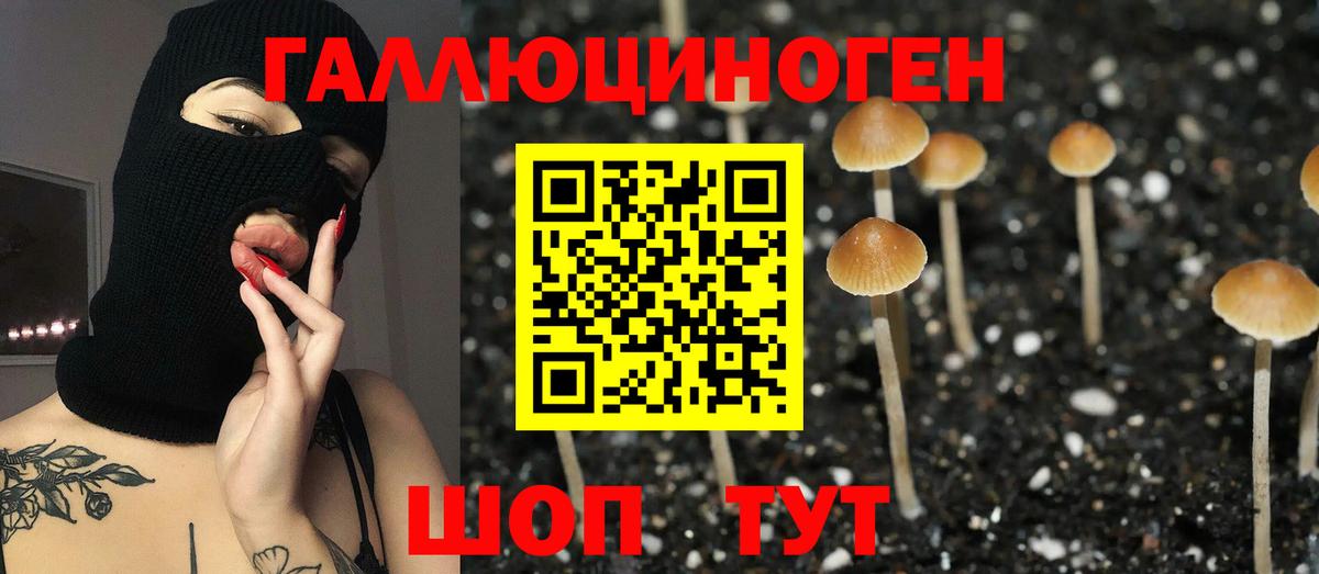 Псилоцибиновые грибы Cubensis Воткинск